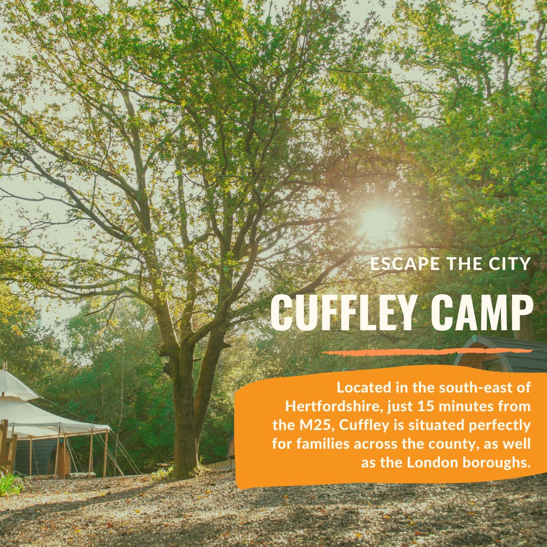 _CampWilderness's tweet photo. Escape from London to this woodland retreat in Hertfordshire - we can't wait to see you at Cuffley this summer! 

Book now 👉 https://t.co/s7l8UpPgfr

#CampWilderness #Camping #Adventure #SummerHolidays #holidaycamp #CuffleyCamp #ALC https://t.co/xLnHmeuGhW