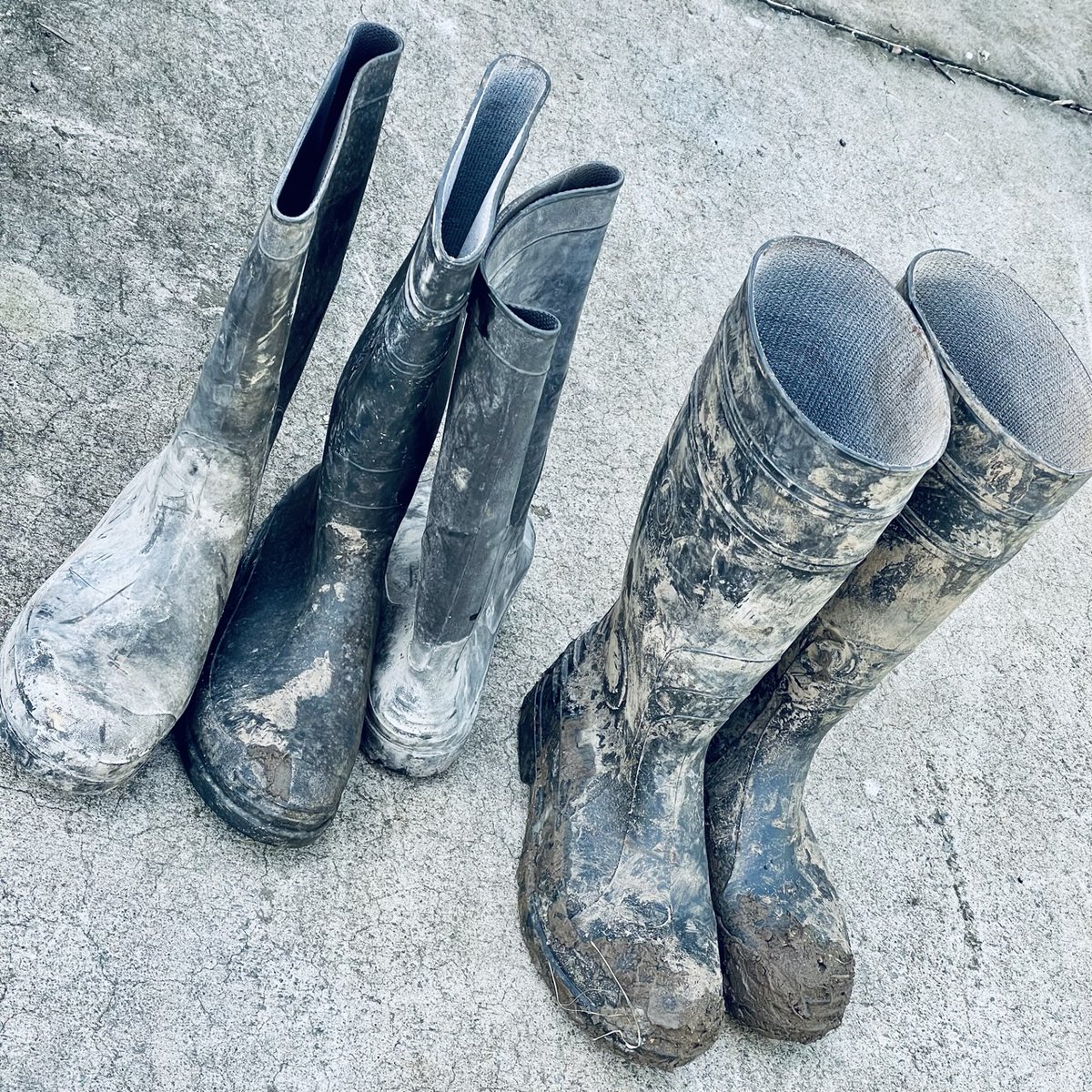 Coolphase4's tweet photo. Thank you  🙏

A shout out to our people who volunteered their time on the weekend to help flood victims.

Some of the scenes and accounts were horrific. We wish everyone affected a speedy return to some sort of normal.

#coolphase #community #humble #team #thankyou https://t.co/94eG5uJb77