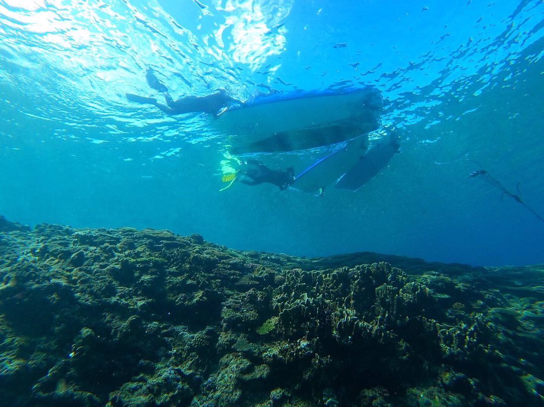 GGS_okinawan's tweet photo. 3月入って、20℃超えの日も多く
海シーズン😎です🏖

#沖縄#SUP
#古宇利島#今帰仁村
#SIJ公認スクール
#日本SUP指導者協会
#SUPインストラクター
#シュノーケリング
#シュノーケリングインストラクター
#海遊び#マリン体験
#suplife 
#snorkeringlife
#seakayaking https://t.co/lplTRSdg16