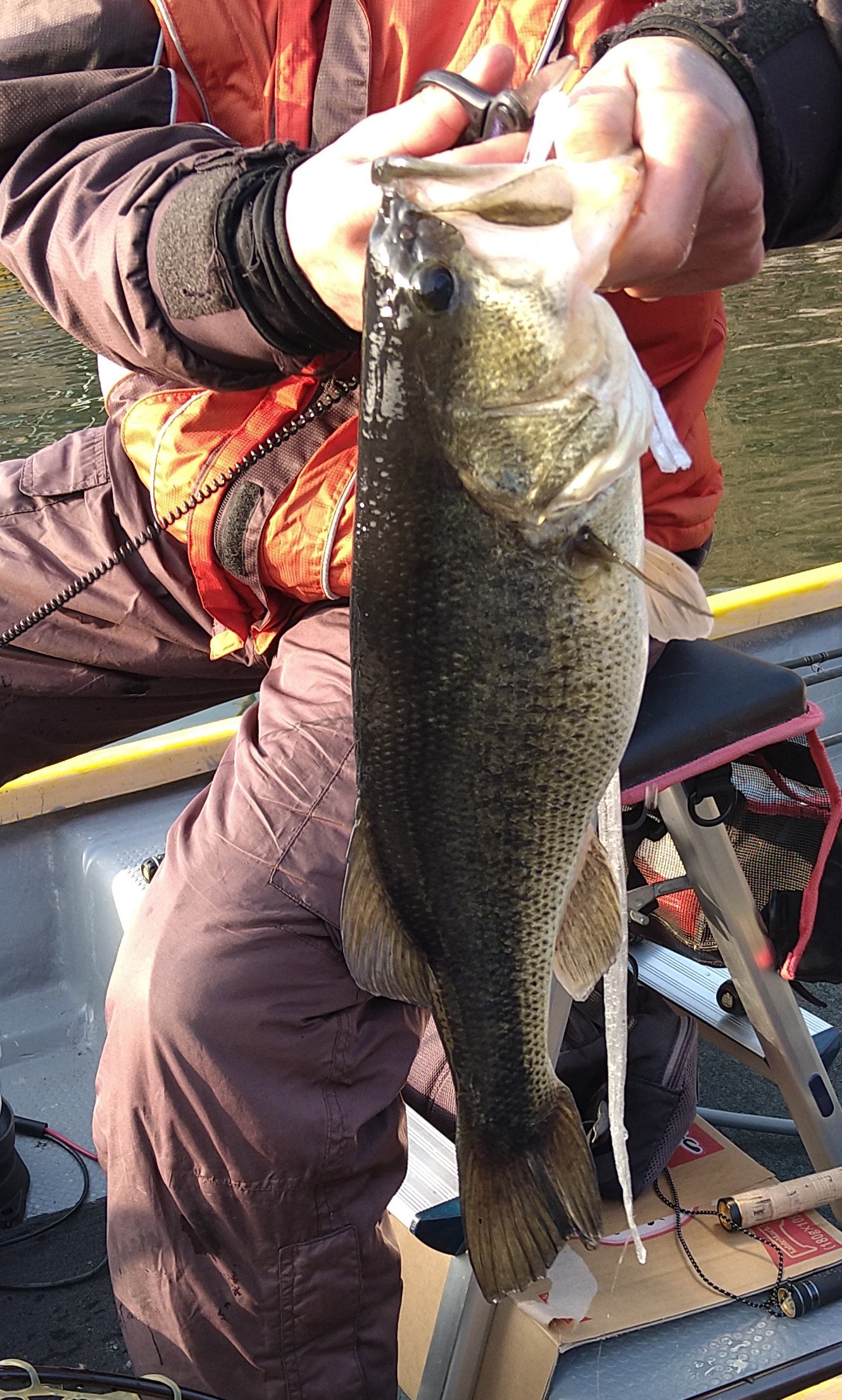 釣船小川亭 相模湖 本日の釣果情報 ブラックバス ４９cm Nice Fish ビッグベイトで まだまだ続報あります 夕方には凪 ワンチャンありますね 相模湖 小川亭 ブラックバス バス釣り T Co Nj4zov1uyr Twitter
