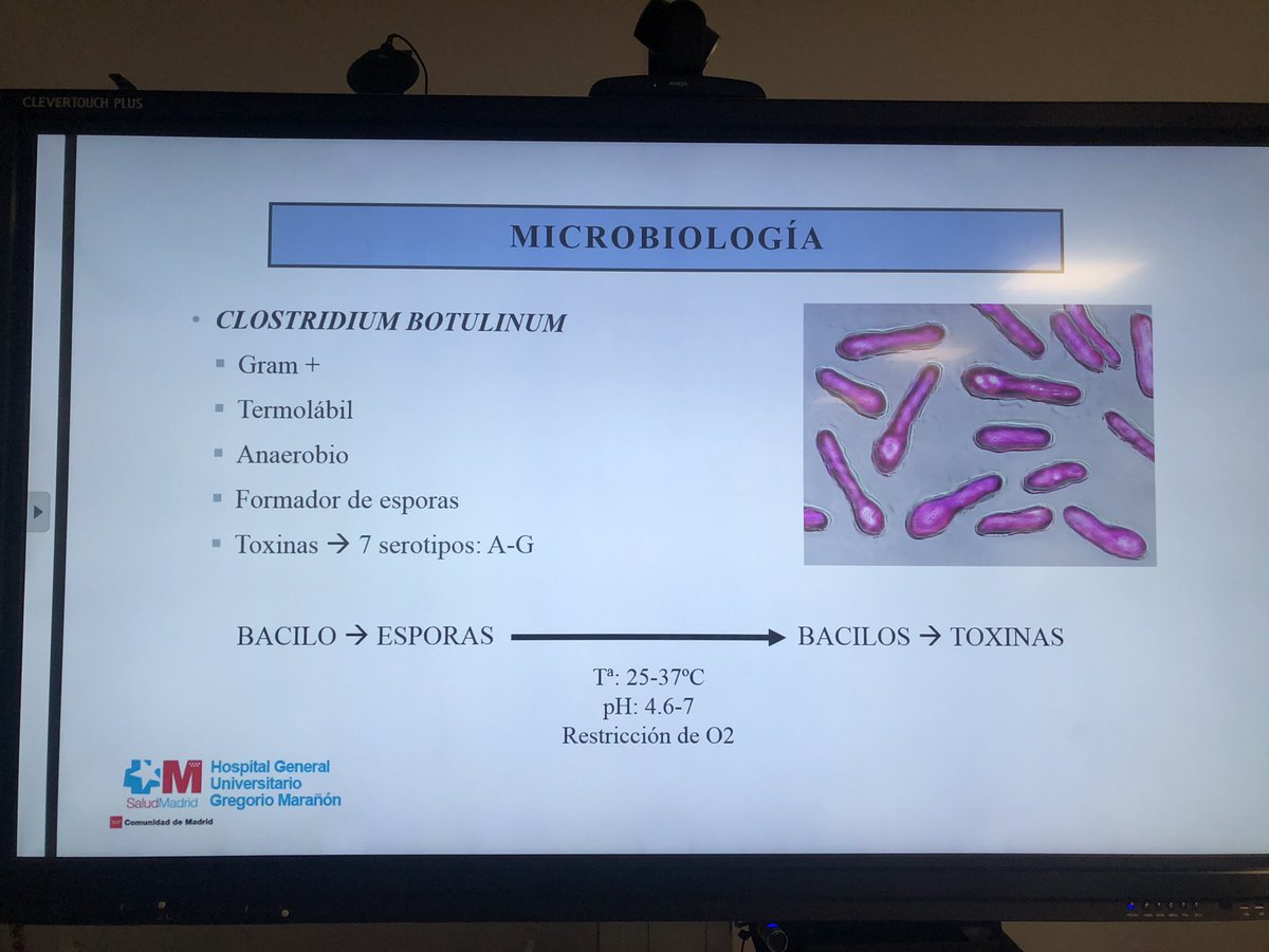 Mic_Inf_Maranon's tweet photo. En la sesión clínica de hoy nuestra compañera Laura García Fernández del servicio de Infectologia Pediatrica ha revisado un caso de botulismo. https://t.co/Uml5MTmT5v