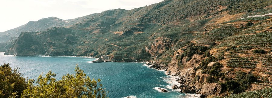 Oneforest_H2020's tweet photo. 🗓️ 21- 23 March 📍 Antalya (Turkey) 

🌳🌲@Oneforest_H2020 participates in #MedForum2022 as a Side Event of #7thMediterraneanForestWeek. This year's topic "How Model Forests can contribute to the development of youth entrepreneurship based on NBS".

https://t.co/Etz78LPTsK https://t.co/kHM9Owc2IG