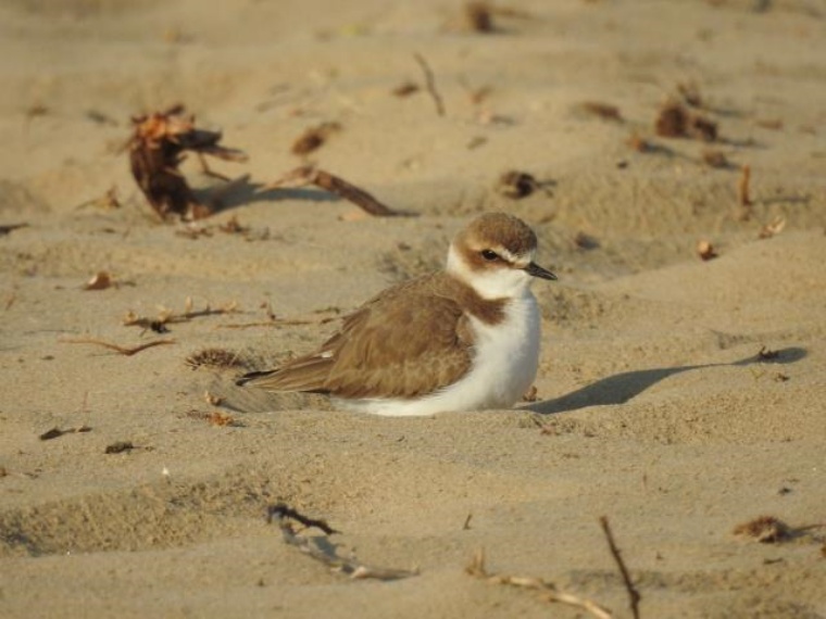 Eix Diari tweet media