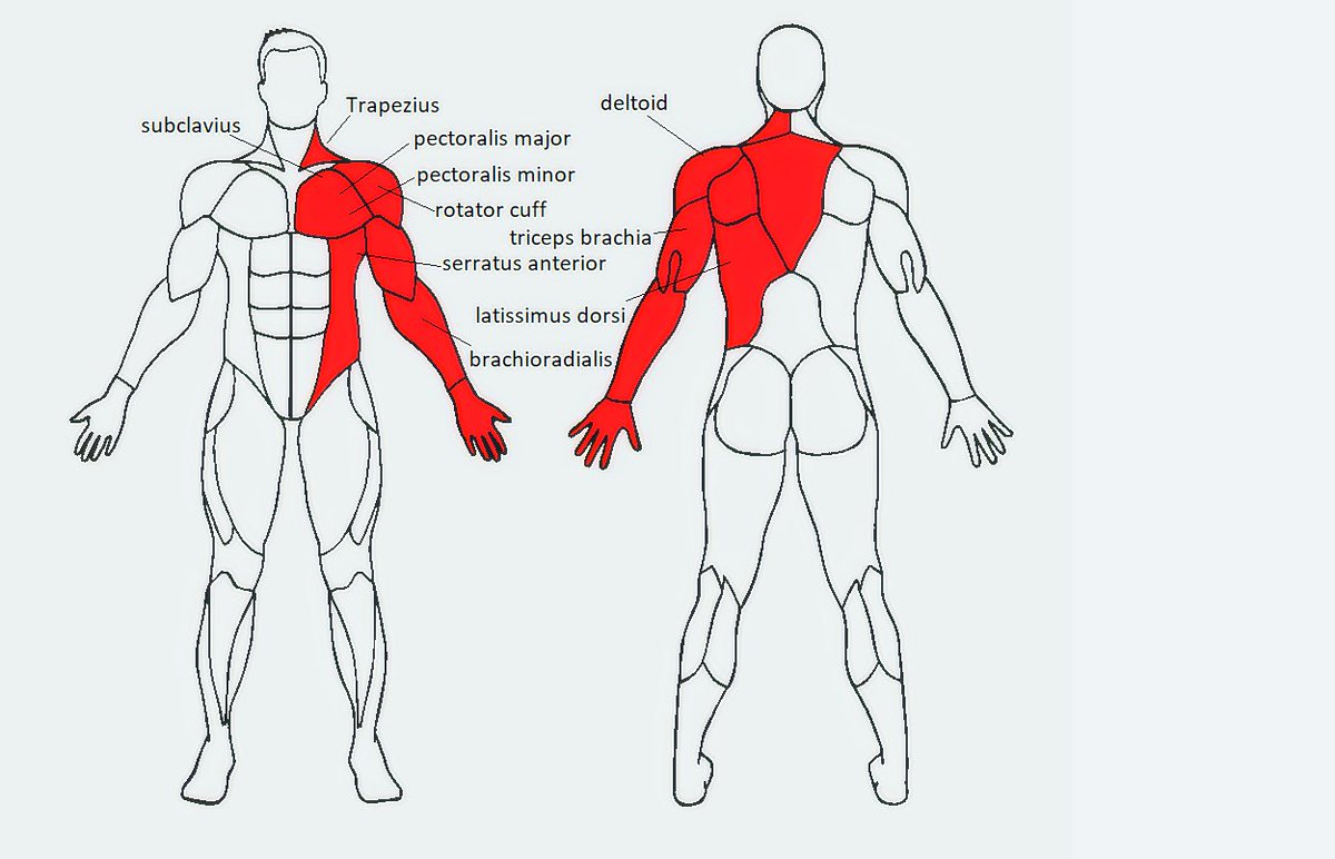 ColinJ_Keogh's tweet photo. 4/ I then try to estimate the damage sustained by Bucky from his fall in the first @CaptainAmerica movie, to get an idea of the muscles and bones that would need to be replaced or repaired with new #Bionic systems. 

#AcademicTwitter #academiclife #Nerd https://t.co/dHrnMuMlY1