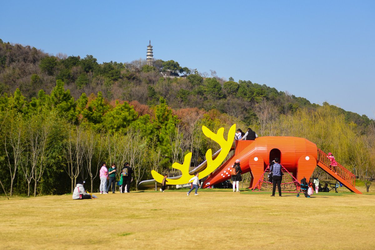 SND_China's tweet photo. Everything comes back to life as #spring returns in March. The hibernating #animals 🐯🦒🐒in Suzhou Shangfangshan Forest Zoo, located in Suzhou New District (#SND), all emerge from their lairs and bask in the warm sunshine🌞. Check out these lively photos! #SpringInSuzhou [📸/IC] https://t.co/IFIaVRWZkc