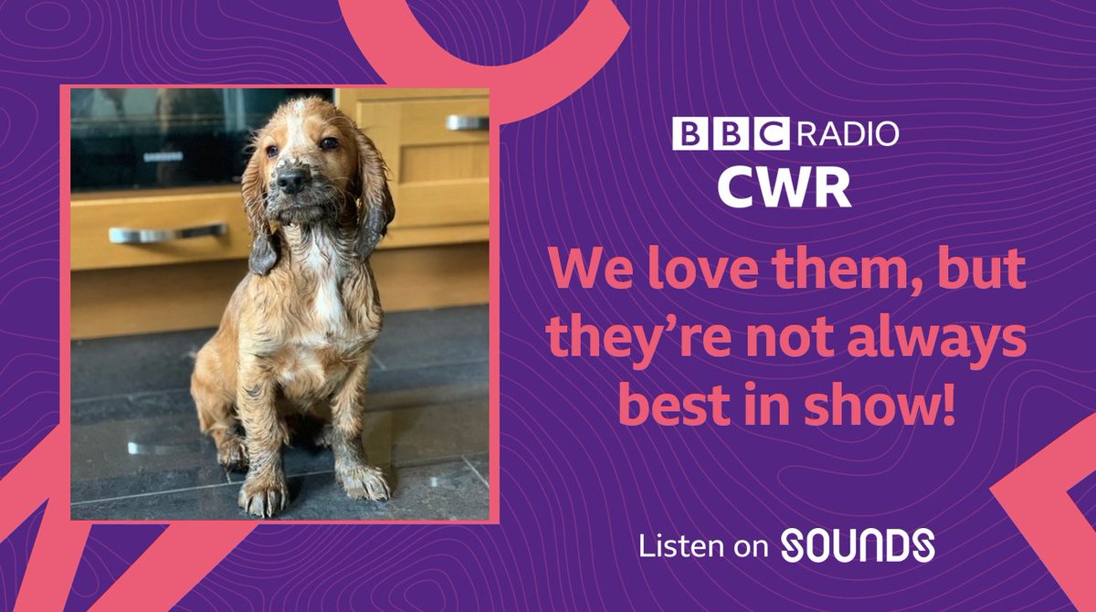 BBC Coventry & Warwickshire tweet media