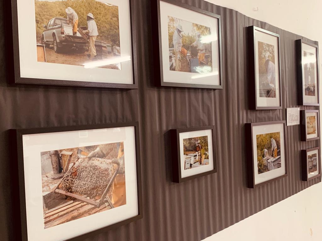 CulEmprendedora's tweet photo. Ayer por la tarde acompañamos al alumnado de 5º y 6º de EP del Ceip Juan XXIII - Mérida en la inauguración de la exposición fotográfica "Empoderamiento de la mujer rural". Estupendo trabajo con el alumnado del ODS nº 5, Igualdad de Género. Enhorabuena chicas y chicos! 💪#8mex https://t.co/BpRGzEEPDW
