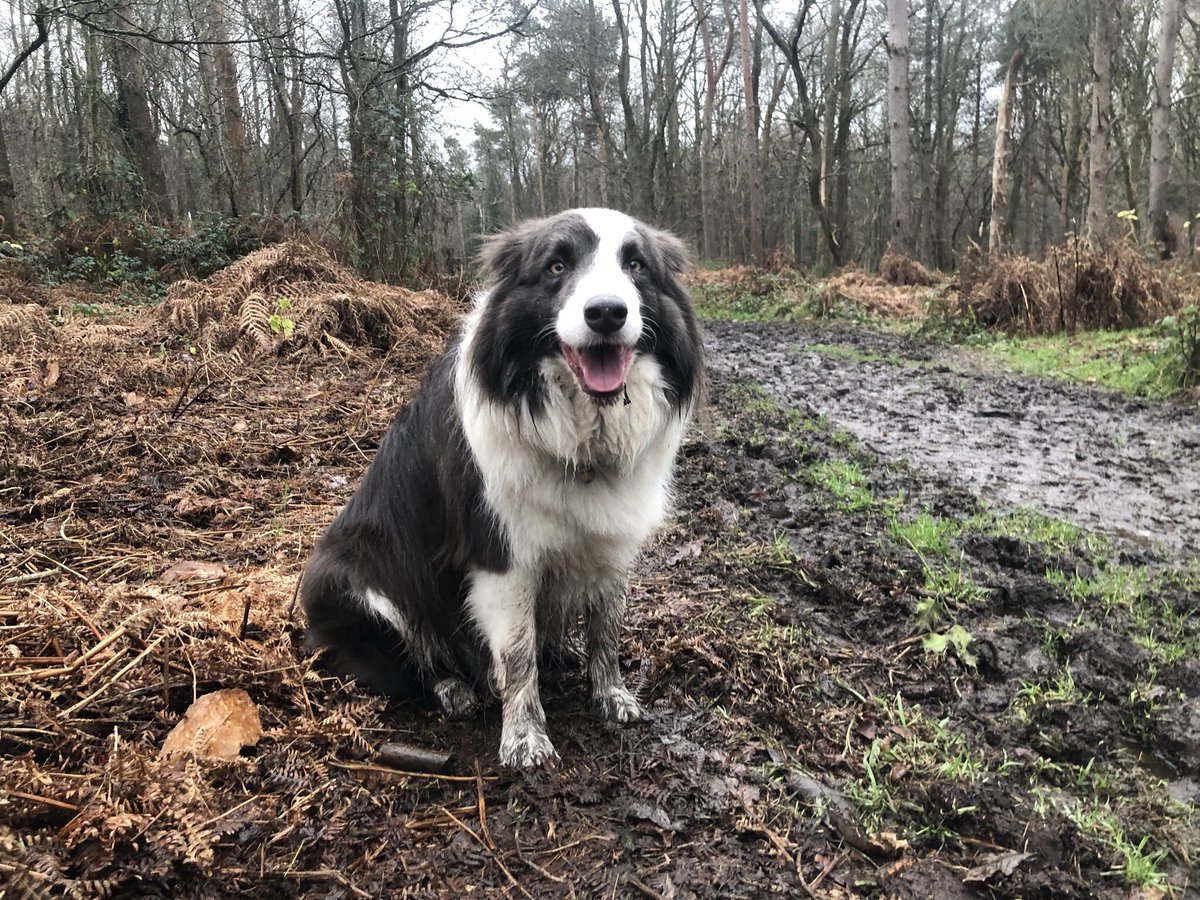 Hannah Griffiths tweet media