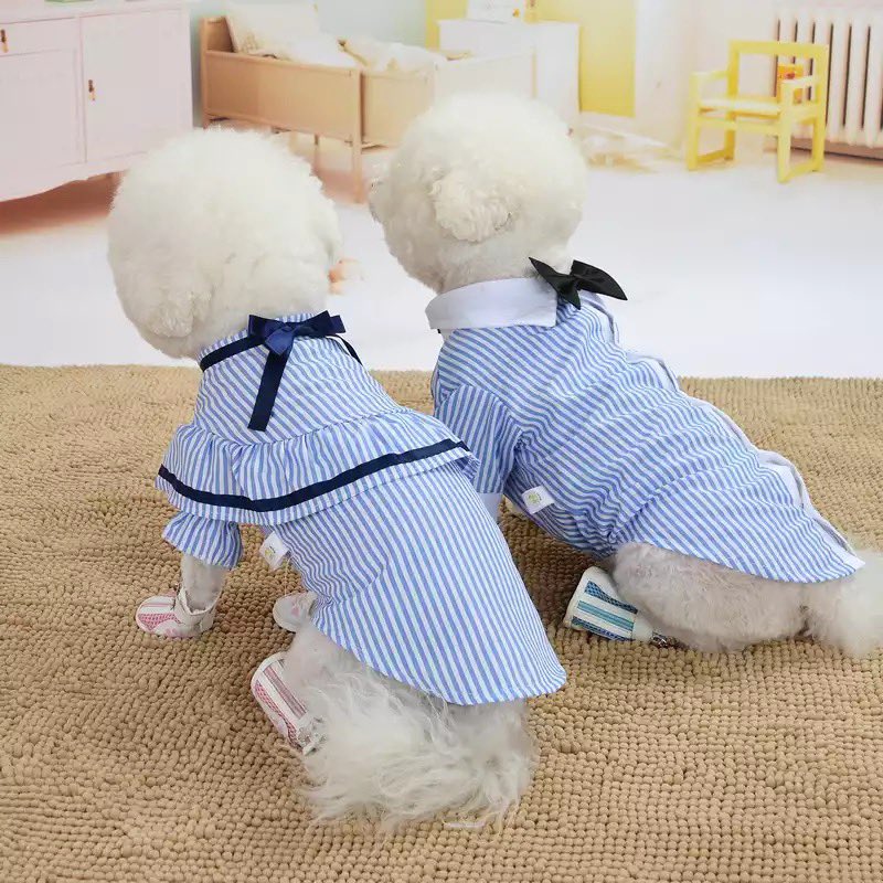 Mymelon_shop's tweet photo. 新商品入荷しました❤️
よかったら覗いてみてください♪
https://t.co/hyLqLHTDsn
#mymelon
#ワンコ
#ワンコグッズ
#わんこのいる暮らし
#犬好きさんと繋がりたい
#愛犬
#犬バカ部 https://t.co/BGoa2yIEii