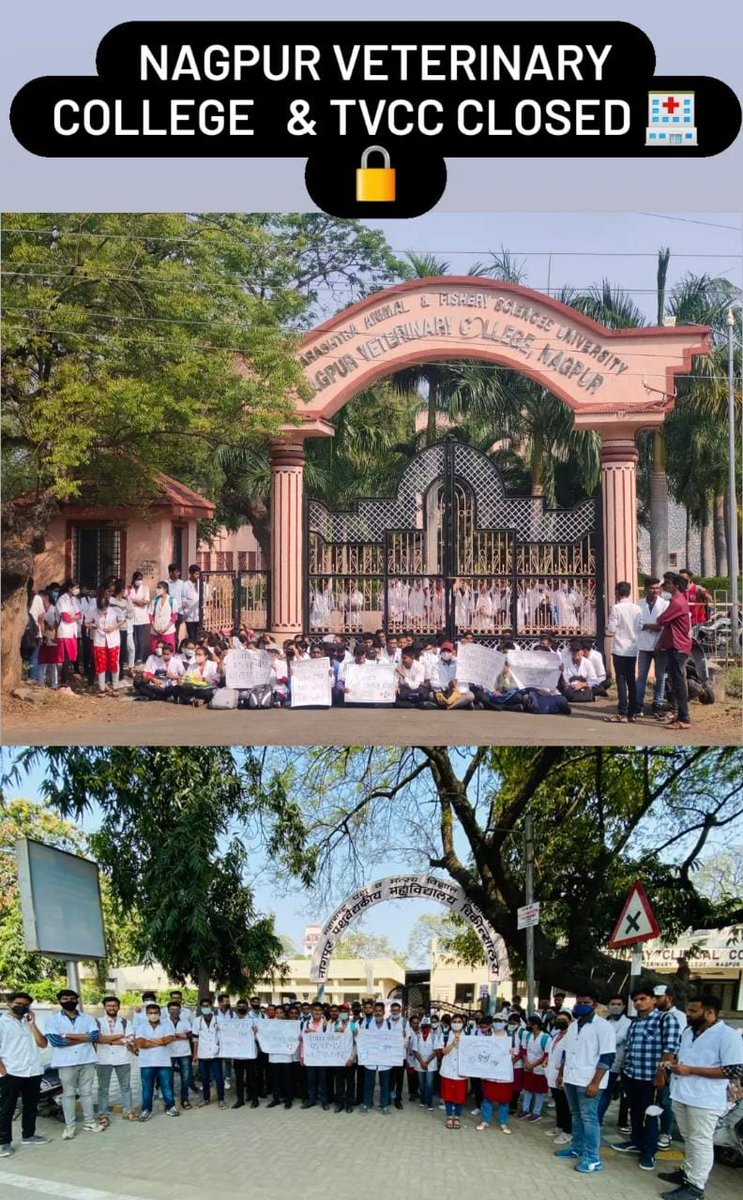Maheshkolhe7's tweet photo. #increase_vet_stipend 
#vets_on_strike 
🏴🏴
सलग तीन दिवसापासून राज्यातील सर्व पशुवैद्यकीय महाविद्यालय, दवाखाने बंद  असूनही राज्यसरकार दखल घेतांना दिसत नाही म्हणून हे सरकार  गेंड्याच्या कातडीचे बनलेले तर नाही असा प्रश्न पडला आहे .
@Dev_Fadnavis 
@SunilKedar1111 
@CMOMaharashtra https://t.co/jHt0qhcuxp