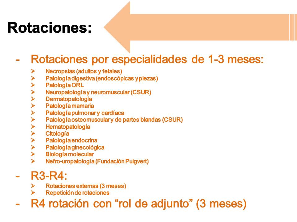 Anatomia Patològica Sant Pau (@apsantpau) on Twitter photo Os recordamos que el día 31 de Marzo se organizan las puertas abiertas del <a href="/HospitalSantPau/">Sant Pau - Campus Salut Barcelona</a> para los nuevos residentes! 🤗 Si te interesa la especialidad de AP y quieres formar parte del equipo <a href="/APsantpau/">Anatomia Patològica Sant Pau</a> no dudes en venir!
#MIR2022 #MIR22
⬇️ ¿Porque formarte con nosotros?⬇️ Os recordamos que el día 31 de Marzo se organizan las puertas abiertas del <a href="/HospitalSantPau/">Sant Pau - Campus Salut Barcelona</a> para los nuevos residentes! 🤗 Si te interesa la especialidad de AP y quieres formar parte del equipo <a href="/APsantpau/">Anatomia Patològica Sant Pau</a> no dudes en venir!
#MIR2022 #MIR22
⬇️ ¿Porque formarte con nosotros?⬇️
