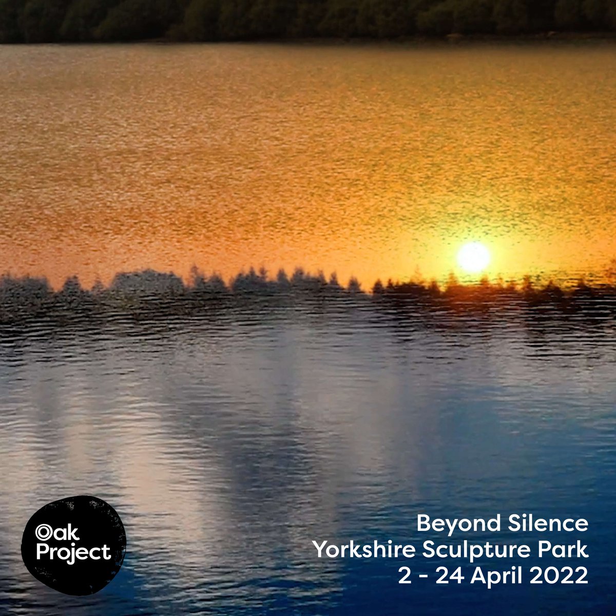 theoakprojectuk's tweet photo. #BeyondSilence was created during a dawn til dusk recording session at @YSPsculpture, responding to sensations of the natural world and the sculptural space #Silence by #StudioMorison. The result is a #shortfilm which is both meditative and urgent in equal measure. https://t.co/CSViMdaf7Z