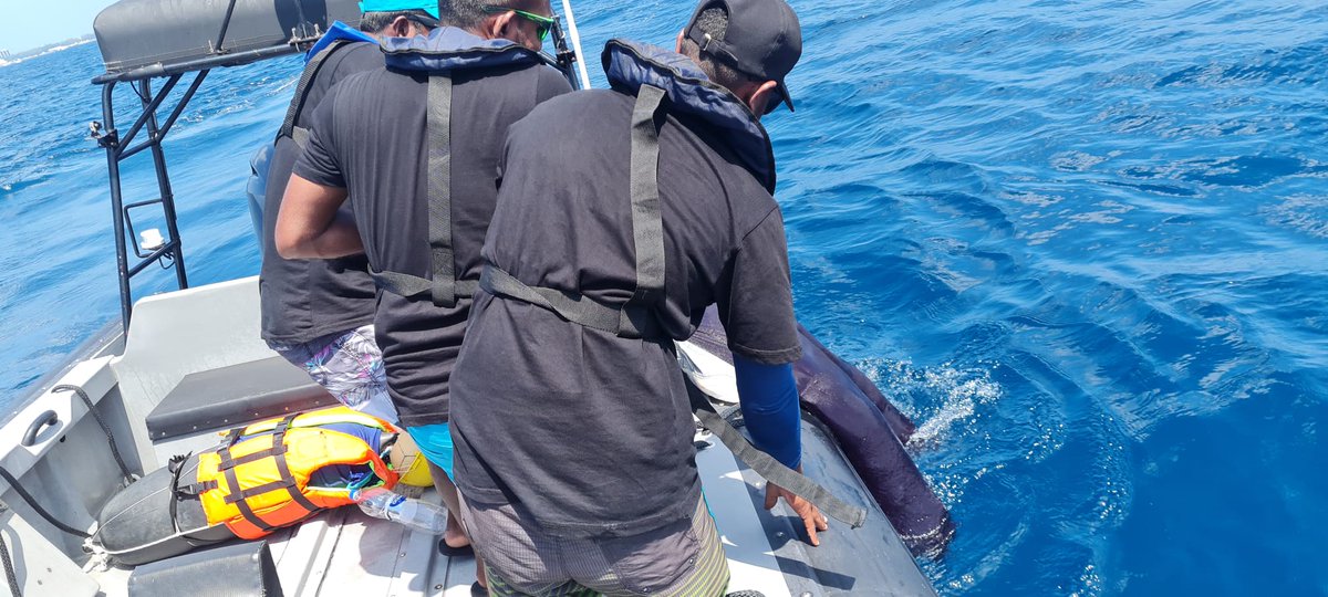 #KeepingOceansSafe! @UNODC_MCP successfully completed the 1⃣st Basic # ...