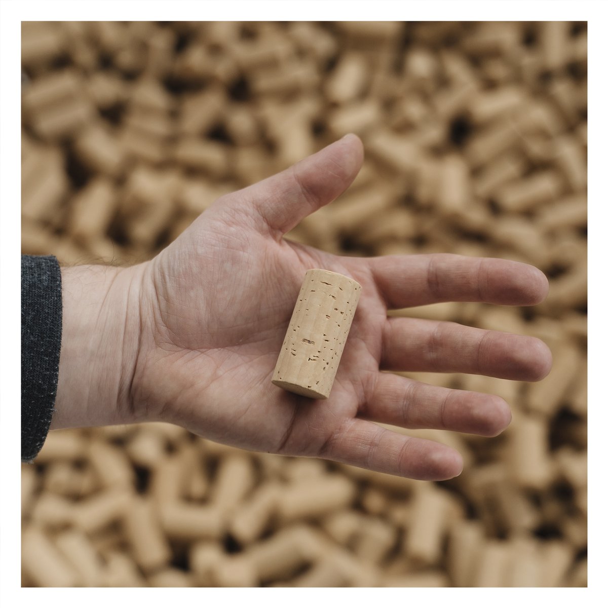 Ebrocork tweet media