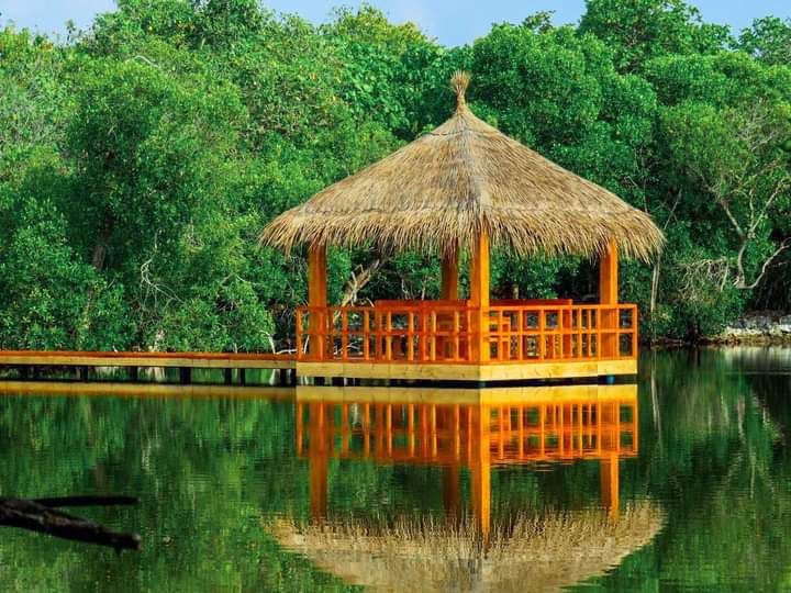 MolhadhoCouncil's tweet photo. The Eco Park project was carried out by HA, Molhadhoo Chill Bro's Youth Club - (CBYC). The project focuses on increasing awareness and encouraging visitors to experience the natural beauty of the area (Kandoofaa) while helping to preserve it for future generations. https://t.co/9EseojhQ7J