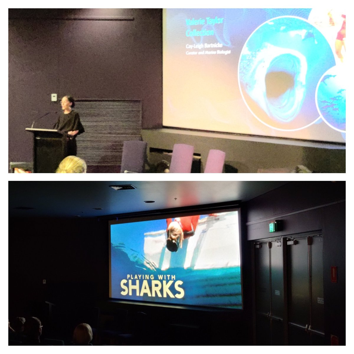 history2wheeler's tweet photo. Our wonderful ocean science curator @cayleighb_ talks about our project to oversee the digitisation of 10,000 photos by diver and conservationist Valerie Taylor, in a career spanning the 1950s to tofay. Then we were treated to this amazing film about Valerie's life @seamuseum_ https://t.co/Fmt6LrTa7y