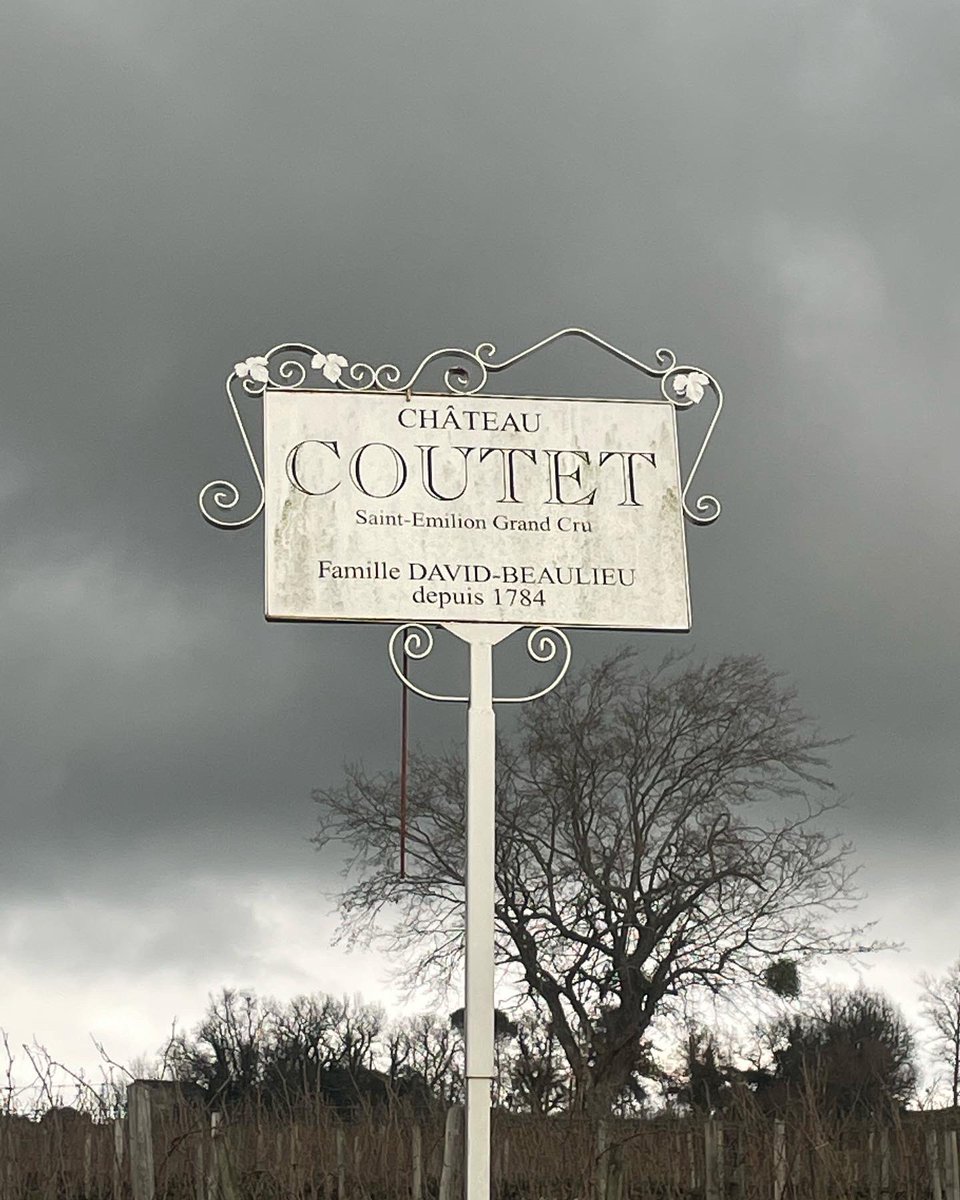 SasPrevin's tweet photo. Acte III de notre périple bordelais avec la visite de château Coutet Beaulieu. 14e génération Beaulieu a gérer ce formidable mais confidentiel domaine et 14e génération BIO. 3 cuvées dont la cuvée Demoiselles 100% a la main. #vinsdebordeaux #saintemiliongrandcru #vinsbio https://t.co/CV7Svdqvu8