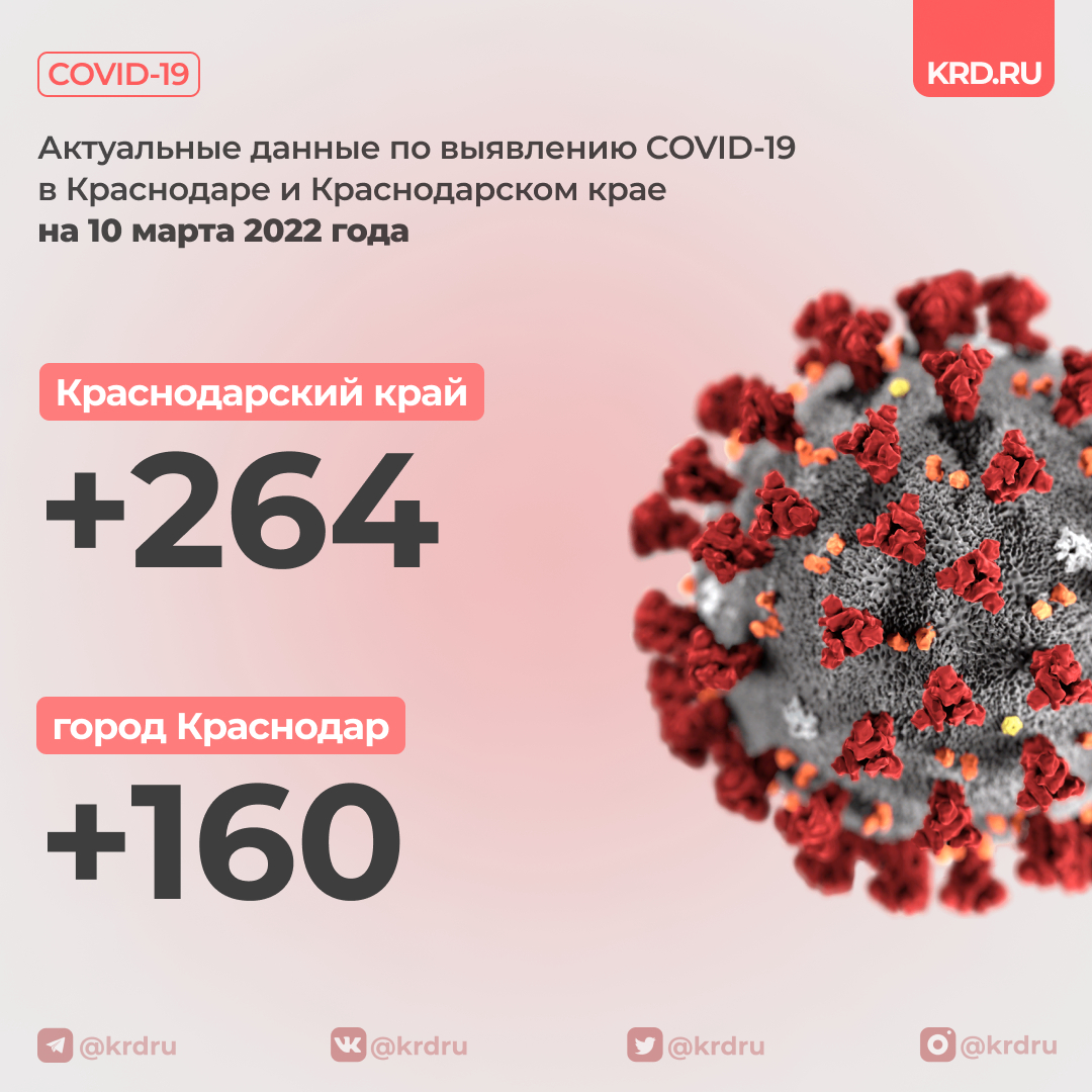 Краснодар tweet media