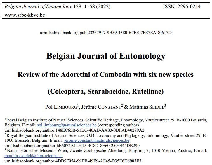 Geniates's tweet image. In our newest paper we increase the number of Adoretus in #Cambodia from 3 to 19 species including several #new #species. Check our paper here: srbe-kbve.be/cm/sites/defau…