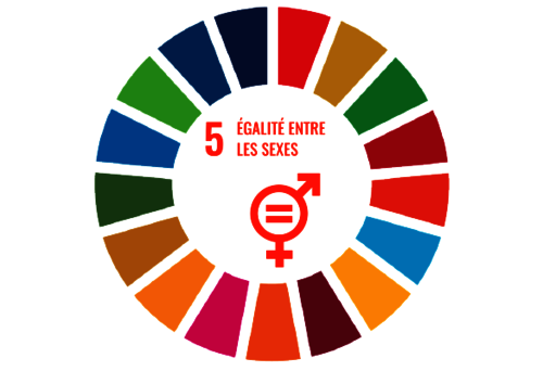 Sensibilisation aux droits des enfants dans le monde, à l'#egalite filles-garçons et aux stéréotypes pour les 6è avec notre partenaire <a href="/UNICEF/">UNICEF</a> #semaineegalite  <a href="/egalite_gouv/">Ministère chargé de l'Égalité</a> #ODD5 @Min_Territoires <a href="/ac_normandie/">Académie de Normandie</a>