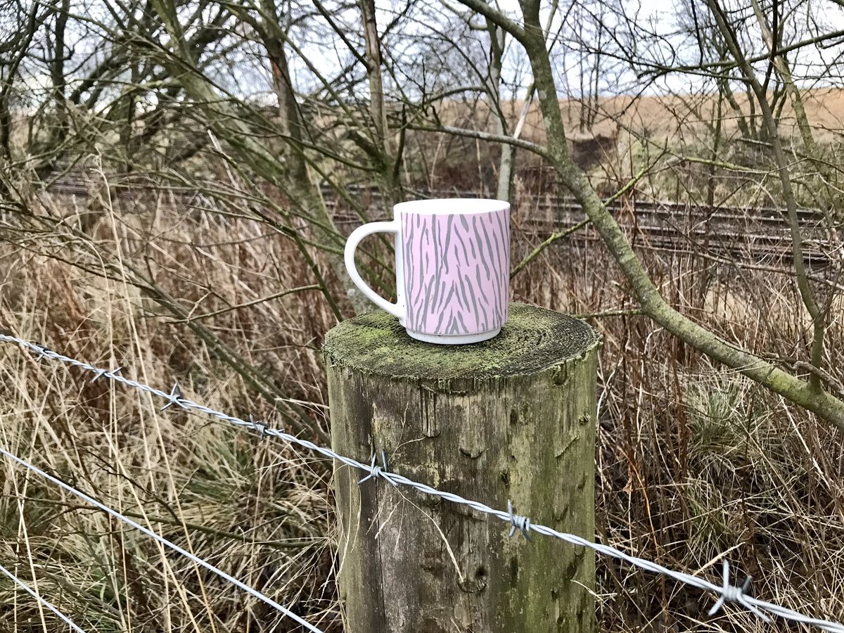 coal_legacies's tweet photo. More from the random files: aside from the similarity of locations, sites of #abandoned #collieries the overarching theme has to be coffee (a dumped machine and a mug) or is it fence posts? #coal #miningheritage #explore https://t.co/p4GX5doMVD
