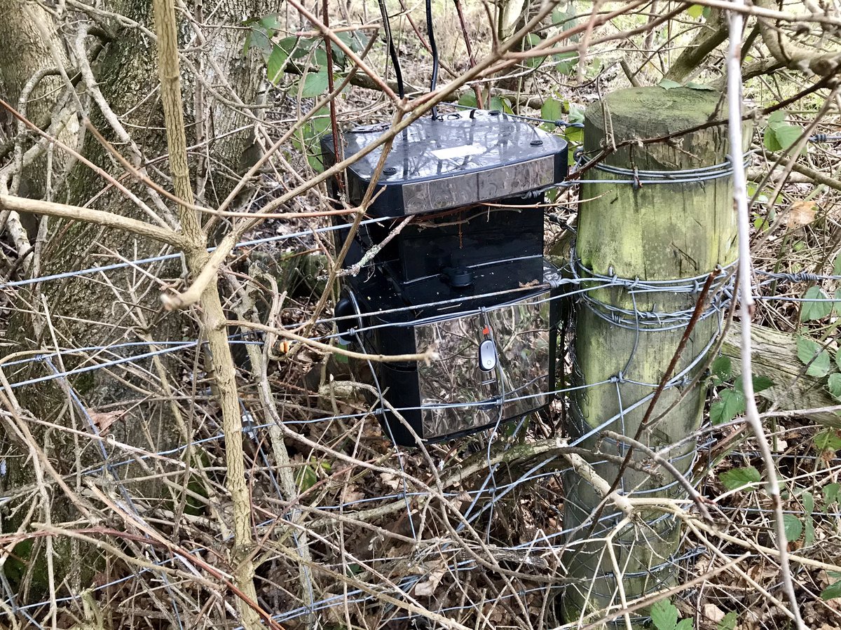 coal_legacies's tweet photo. More from the random files: aside from the similarity of locations, sites of #abandoned #collieries the overarching theme has to be coffee (a dumped machine and a mug) or is it fence posts? #coal #miningheritage #explore https://t.co/p4GX5doMVD