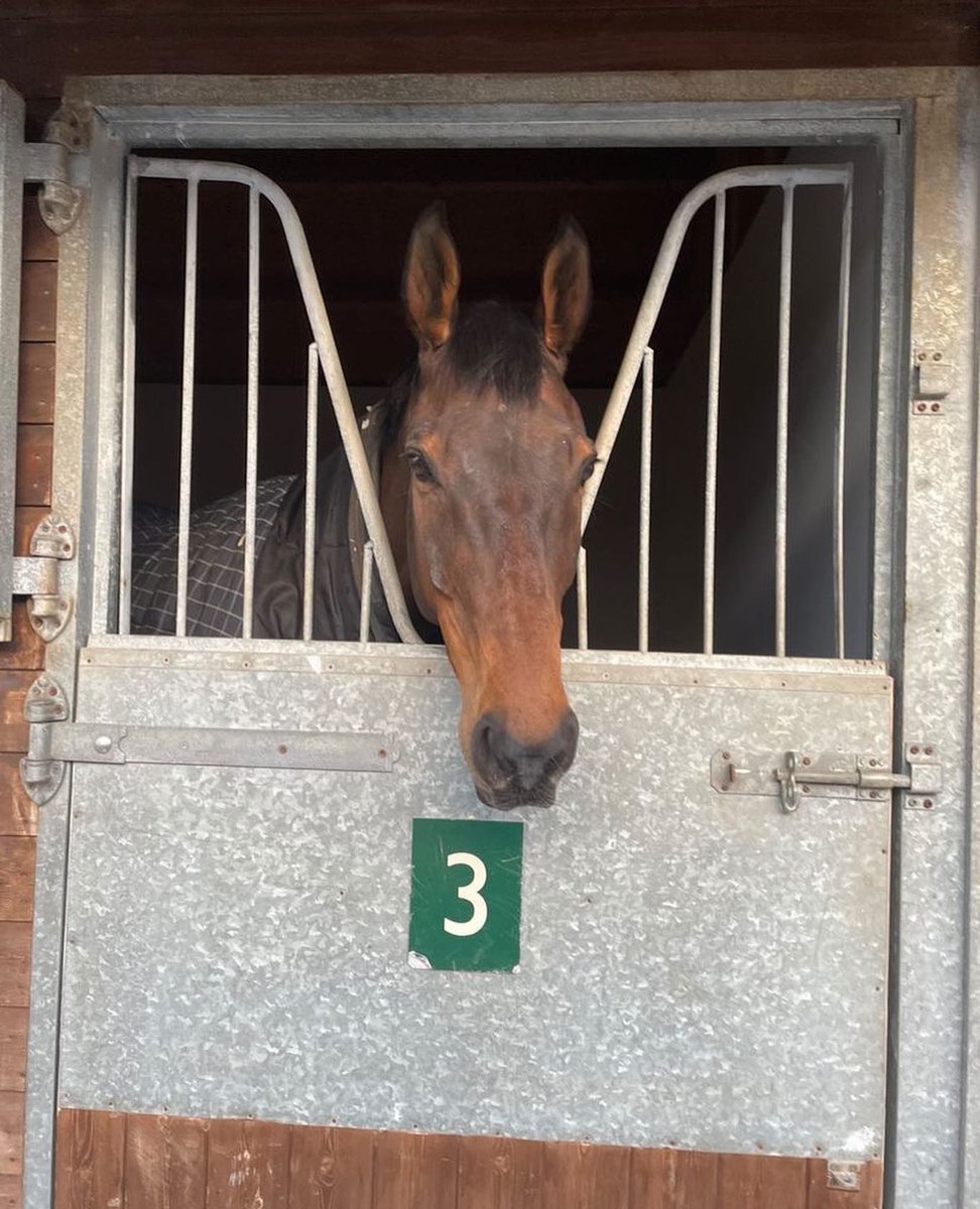 Chris Gordon Racing tweet media