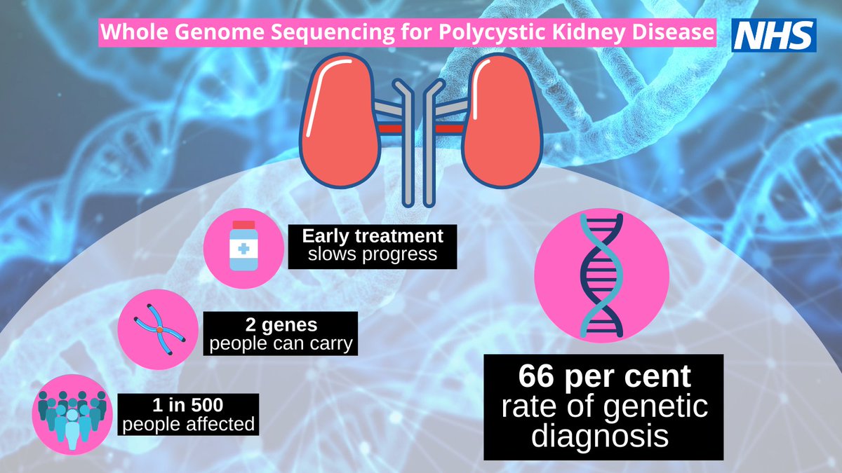 Did you know that #Genomics is transforming how we care for people living with kidney disease? This infographic outlines how whole genome sequencing is leading to faster genetic diagnoses and earlier treatments. #worldkidneyday2022 #WorldKidneyDay