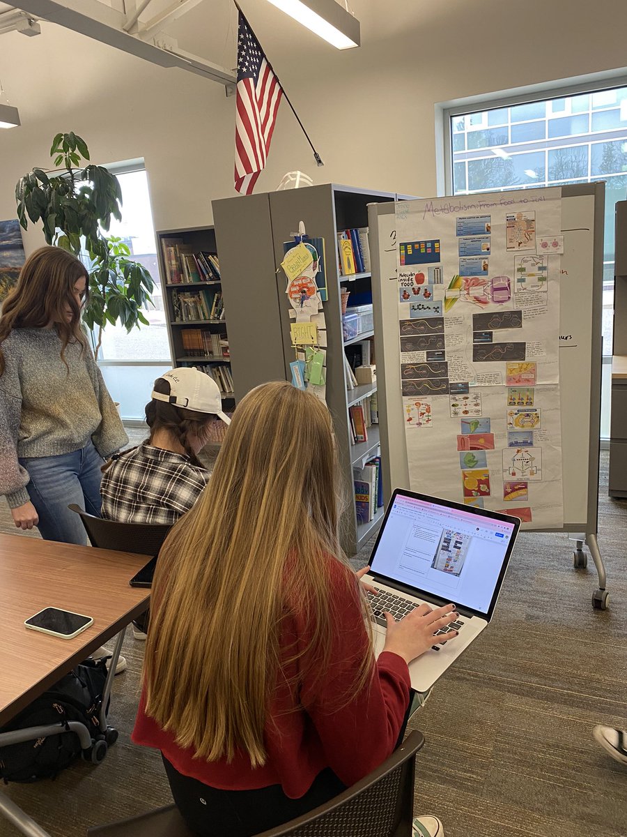 CollisNoelle's tweet photo. Biomed students engage in a gallery walk where they compare their own explanatory models of metabolic processes with others and analyze the differences @BHBlackHawks @NetworkCAPS @GolabSusan @bhswatson https://t.co/8nFdlH6WYu