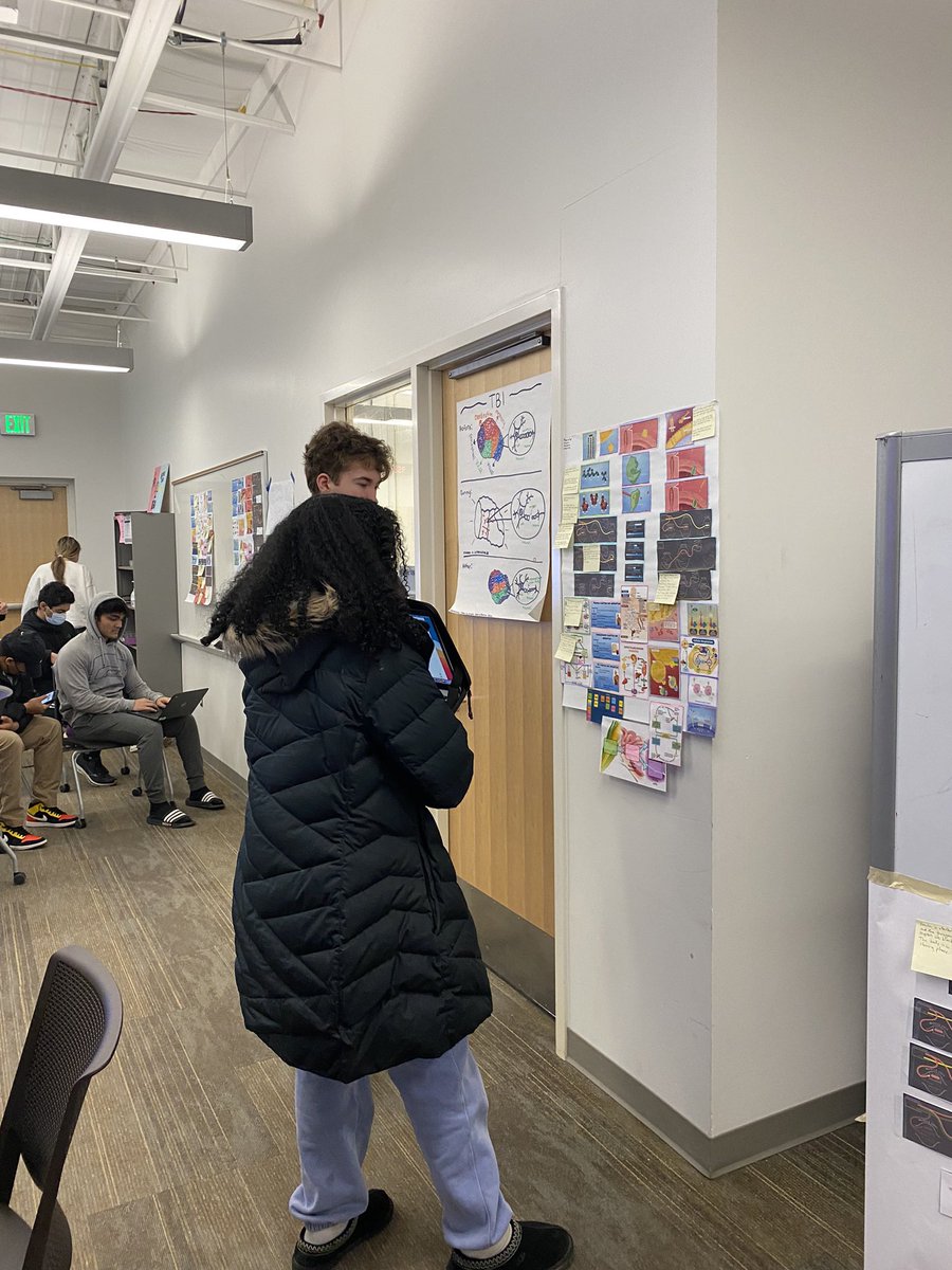 CollisNoelle's tweet photo. Biomed students engage in a gallery walk where they compare their own explanatory models of metabolic processes with others and analyze the differences @BHBlackHawks @NetworkCAPS @GolabSusan @bhswatson https://t.co/8nFdlH6WYu