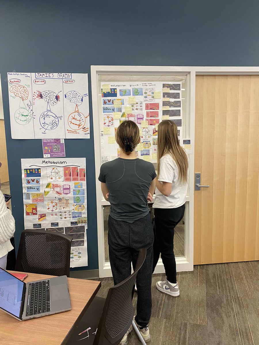CollisNoelle's tweet photo. Biomed students engage in a gallery walk where they compare their own explanatory models of metabolic processes with others and analyze the differences @BHBlackHawks @NetworkCAPS @GolabSusan @bhswatson https://t.co/8nFdlH6WYu