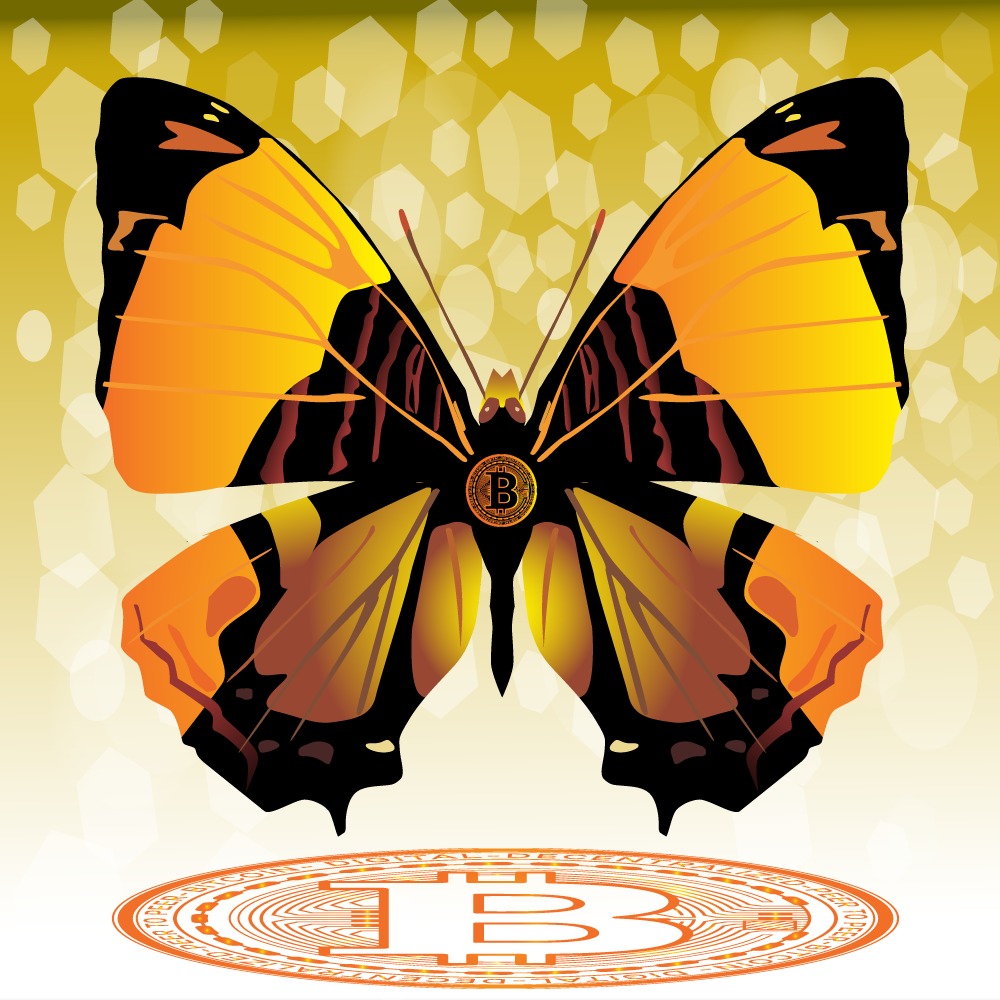 nftwhele's tweet photo. #bitcoin #HOLD https://t.co/RqwGT9ytfm