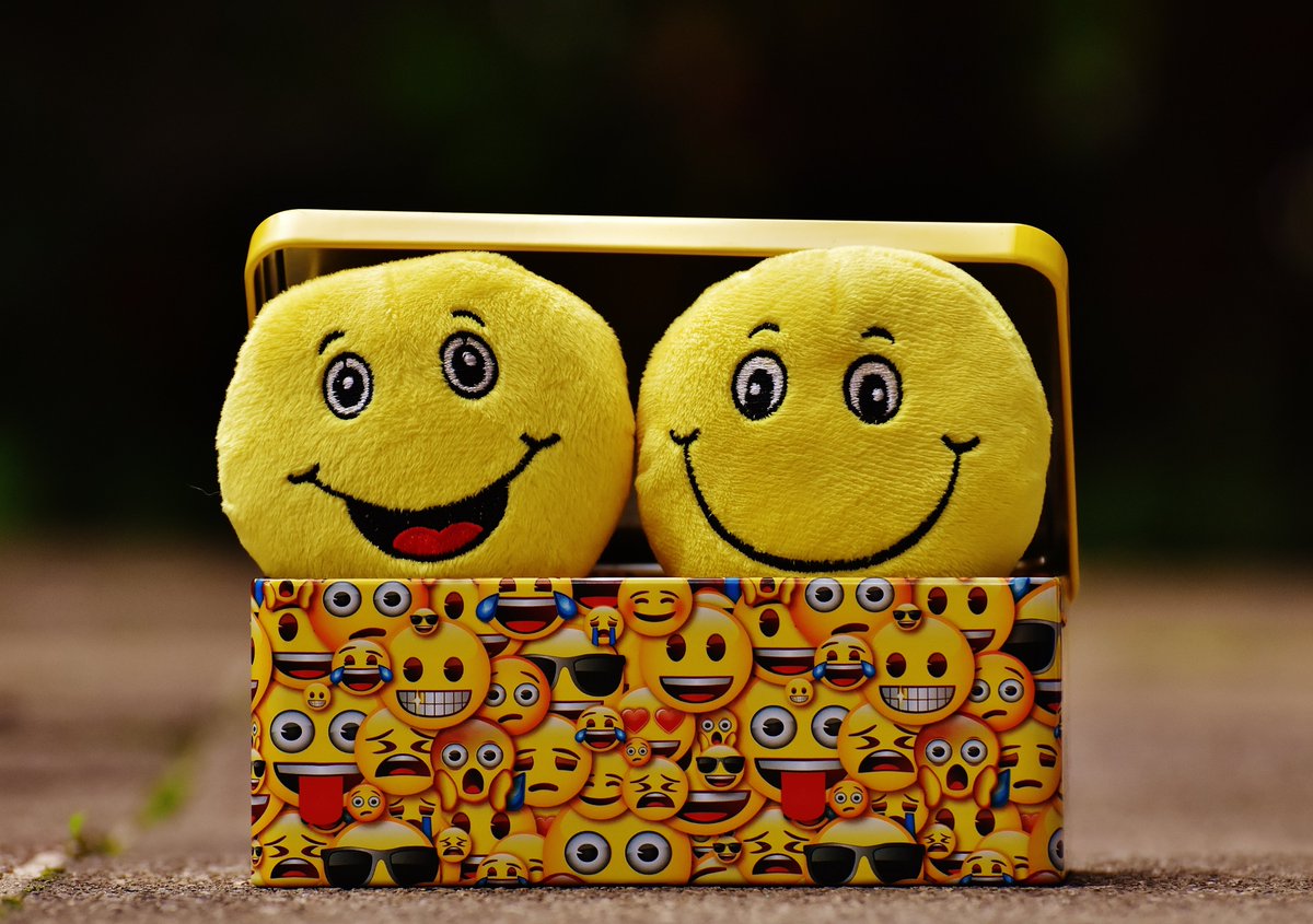 Eddy - QA Health - Mental Wellness tweet media