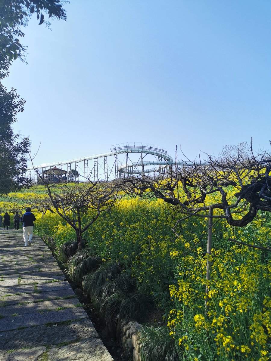 乡村旅游系列