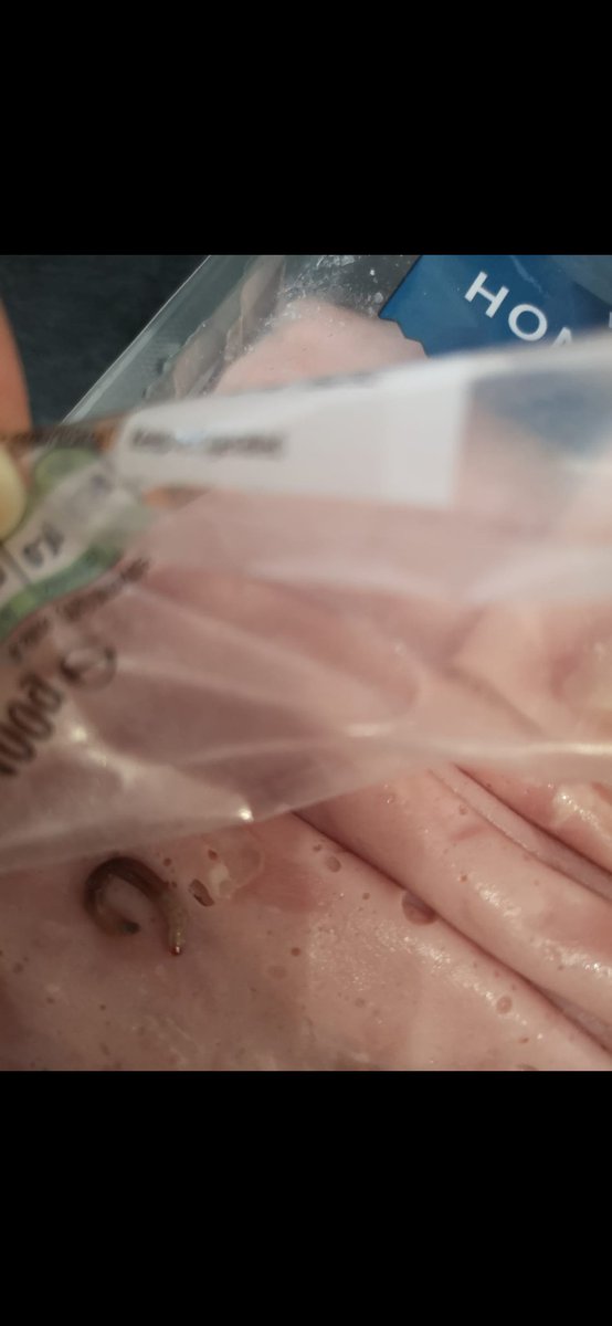 djohn1987's tweet photo. Nice suprise opening @Morrisons ham to make a sandwich this morning 🤢🤮 #maggot https://t.co/qV5OziI1jP