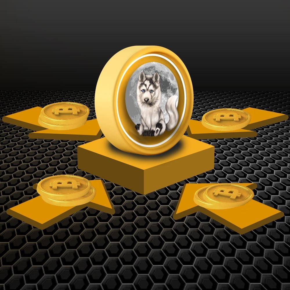 BabyWoolfCoin's tweet photo. A Beginner's Guide:

To understand the #cryptoverse, you'll need sufficient navigation tools, &amp; knowing popular slang phrases is a good starting point.

Read the link to know some of the slang terms you'll most likely come across in the #Cryptoworld 

https://t.co/oddljv8wLE https://t.co/SZTCaZGbwK