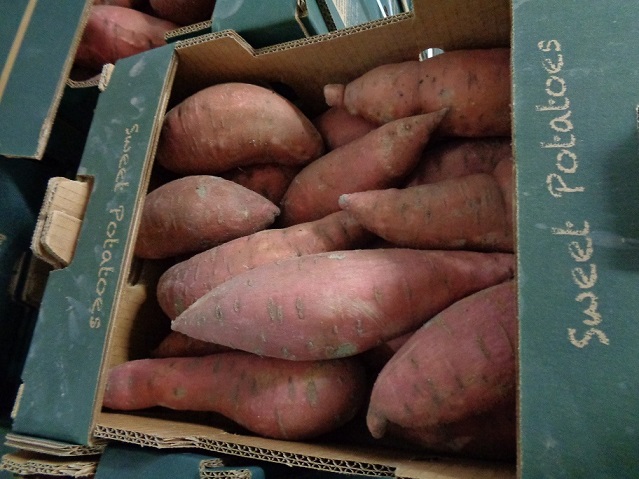 Honduran Sweet Potatoes 🍠

6kg L1/L2/M/XL available now!

Please get in contact to order yours