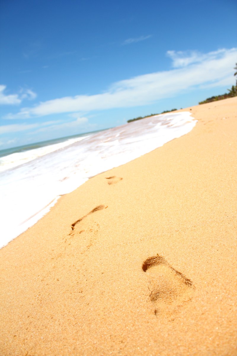 GM!
Thursday vibe. 🏖️🪜
One step at a time
#photography #beach #sunny #nature #NFTCommunity
