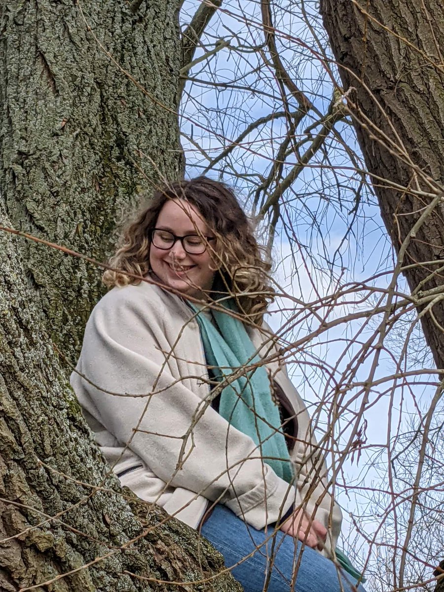 LynnBry29527024's tweet photo. Fabulous day out in North Yorkshire yesterday with my girl. And yes, she is indeed in a tree... #Yorkshire #WritingWithLabradors #TimeInATree https://t.co/h4jQFQuwKx