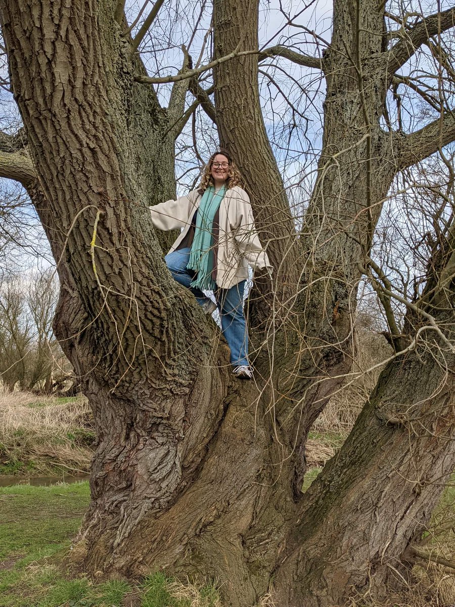 LynnBry29527024's tweet photo. Fabulous day out in North Yorkshire yesterday with my girl. And yes, she is indeed in a tree... #Yorkshire #WritingWithLabradors #TimeInATree https://t.co/h4jQFQuwKx