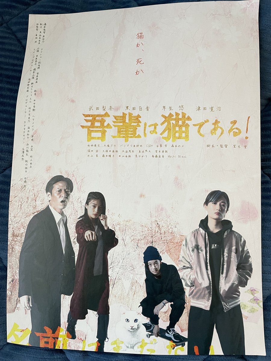 武田梨奈 最新情報まとめ みんなの評判 評価が見れる ナウティスモーション 2ページ目