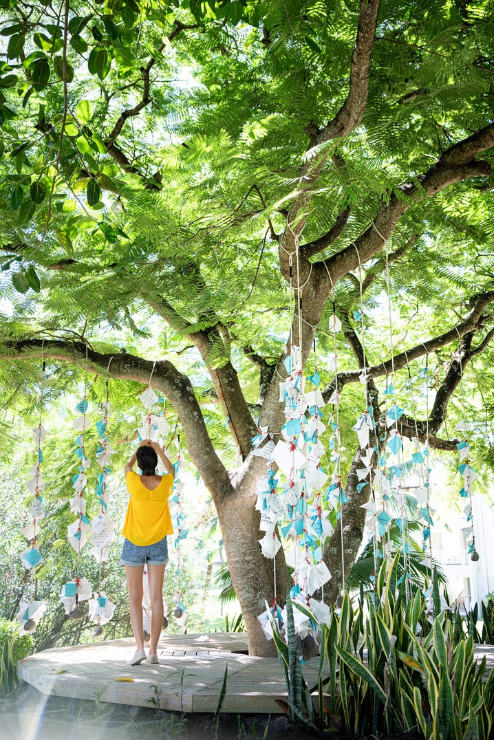 A wish can make the world a better place and LUX* helps you in making them a reality at our magical Tree of Wishes. 

👉What would you wish for?