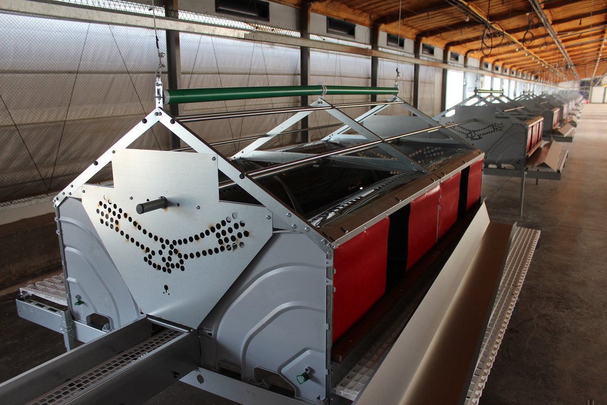 VencomaticGroup's tweet photo. New project in Israel, equipped with the Vencomatic Nest Condor. A winchable nest, especially developed for hot, severe climate conditions. In cooperation with our dealer Hapach Metal Industries - https://t.co/pGewXGnYRm #poultryhousing #breeders #poultry #nest #vencomatic https://t.co/TfF9tiuEmN