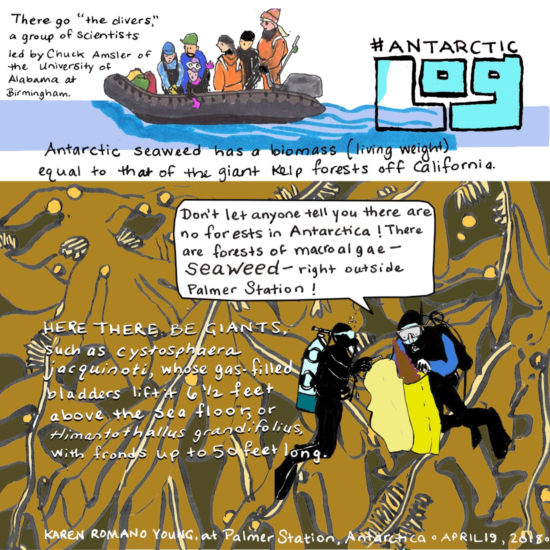 In our latest <a href="/AGU_SciComm/">Sharing Science</a> #AntarcticLog, <a href="/DoodlebugKRY/">Karen Romano Young</a> reflects on her time spent at <a href="/NSF/">U.S. National Science Foundation</a>  Palmer Station fal.cn/3mOW1 #SciComm #SciArt #AGUBlogs
