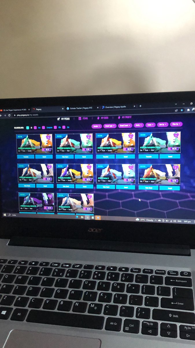 CryptoGhostAE's tweet photo. build build build @PegaxyOfficial @RealCoreyWilton https://t.co/a5tYn47hMg