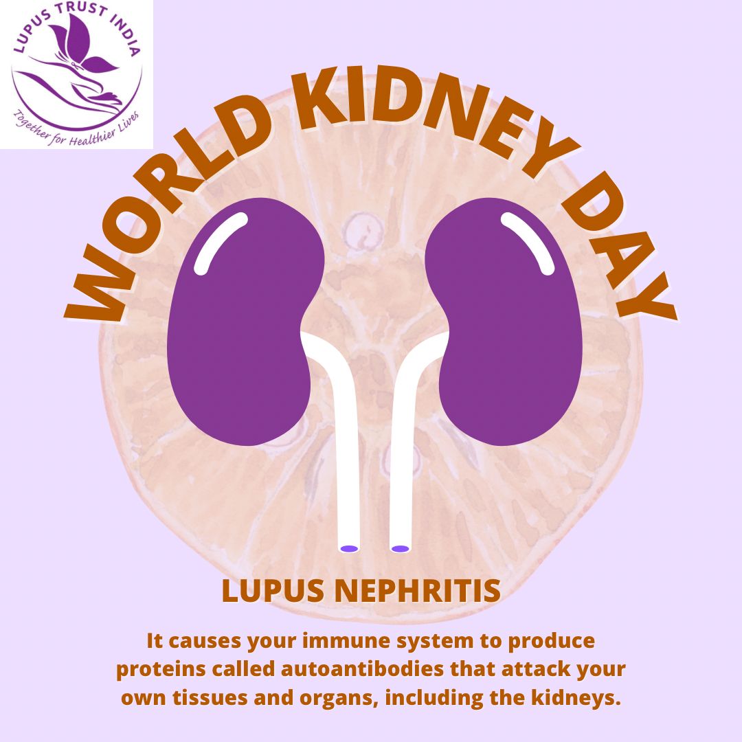 LupusIndia's tweet photo. SLE affects kidneys about 50% of patients. #WorldKidneyDay #Lupus #SLE #lupusnephritis #lupusindia #kidneyday #kidneyhealth https://t.co/u9a3ZwbPGp