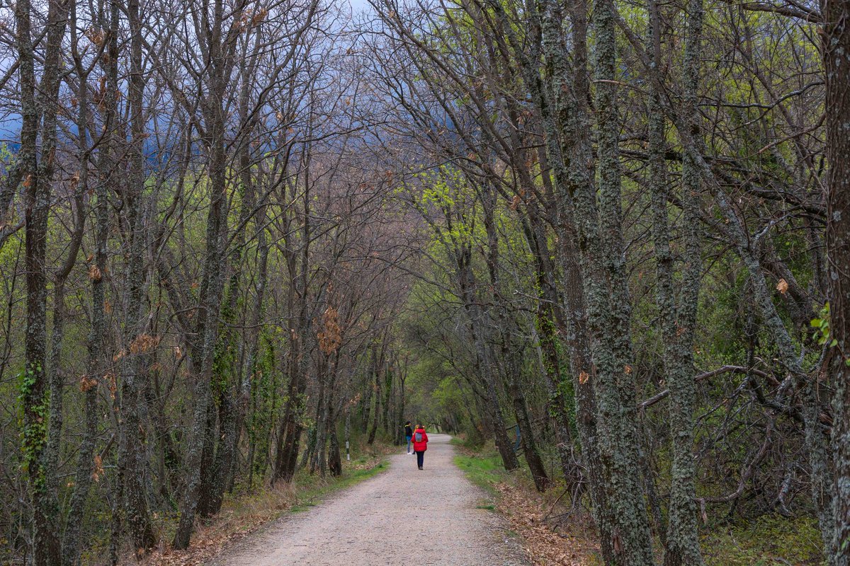 javierlumeras's tweet photo. Muy cubierto hacia el noroeste, amenazando lluvia y con un bonito contraste de colores entre nubes y flores. Hervás (Cáceres)
@slaplana_tve https://t.co/vSESvGcO4b