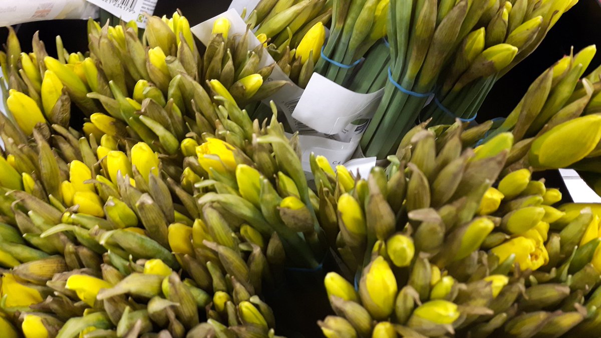 Happy to donate some daffodils to the teachers abd staff of Bure Park school for their wellbeing event.
#everylittlehelps #bicester #bureparkprimaryschool #donation