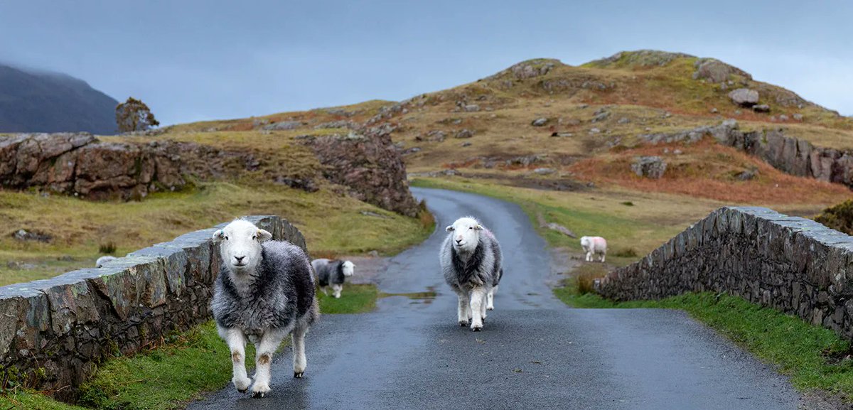 We are currently conducting research to develop the next stage of our recruitment marketing campaign for the county, to help address the ongoing challenges around skills, recruitment and retention.
 
Complete the survey here: buff.ly/3tJPqRP