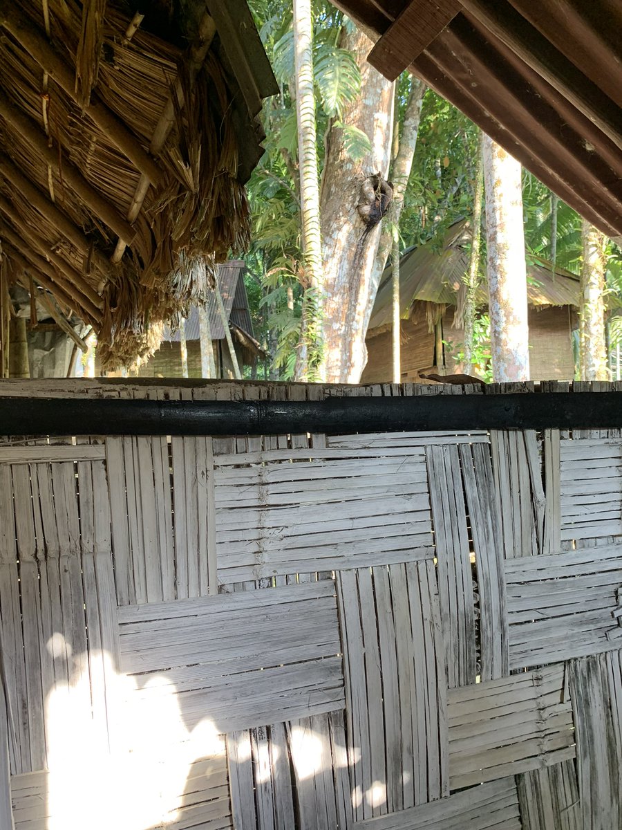 jamwalcol's tweet photo. We booked into the Flying Elephant Resort, Havelock Via @agoda @agodaindia for 22-23rd of February. However, the place turned out to be a complete scam. The washroom of the shack had literal holes that they had tried to cover with dried leaves. There was a mud patch in the middle https://t.co/u0haQesOUL